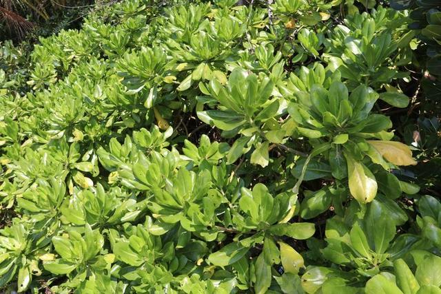 海南文昌海上石头城