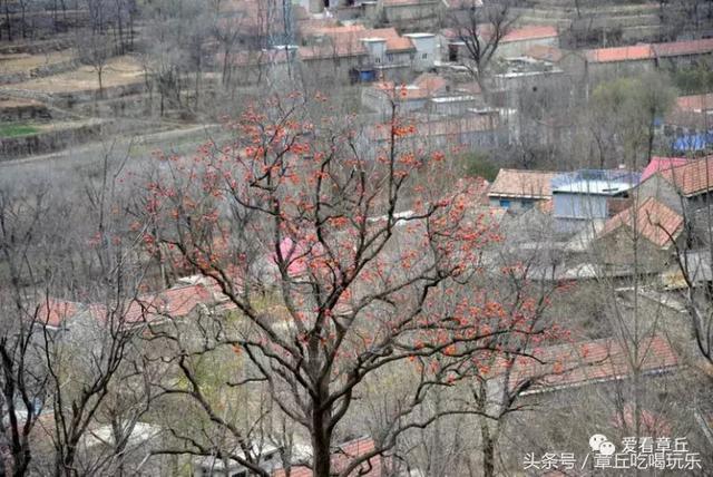 爱看章丘官庄街道石匣村