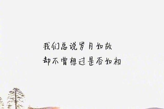 八个字的爱情唯美句子（短句经典 句句入心）