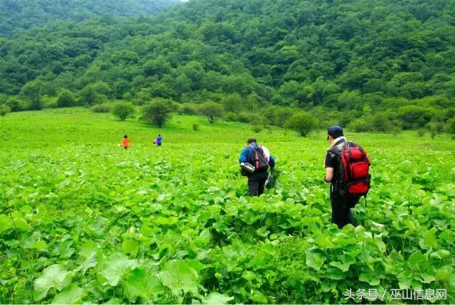 当阳大峡谷：天然山水至美，盛夏避暑绝佳！