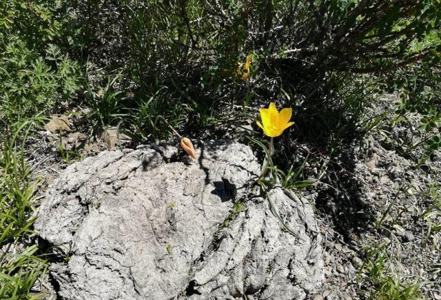 乌鲁木齐市周边徒步好地方之米东区柏杨河乡独山子村