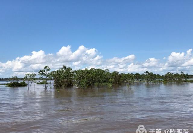 探秘亚马逊热带雨林