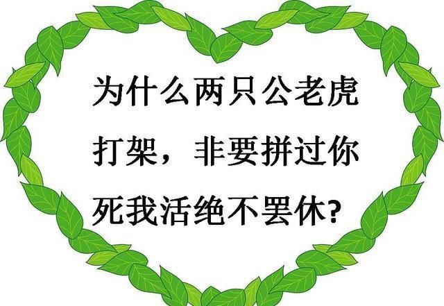 脑筋急转弯：和别人借什么东西可以不还呢？