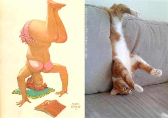 13张超性感猫咪来袭,可爱和性感的猫咪你更喜欢哪一个?