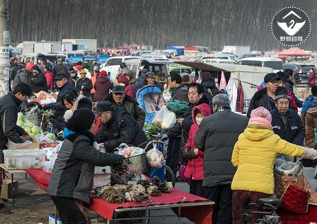 自驾大兴农村大集，人多货多，满满的老北京味儿