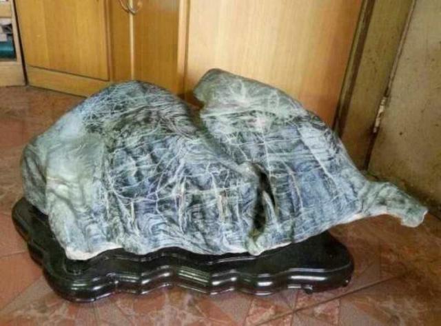 图片三:大象,老鼠 , 兽(寿)。