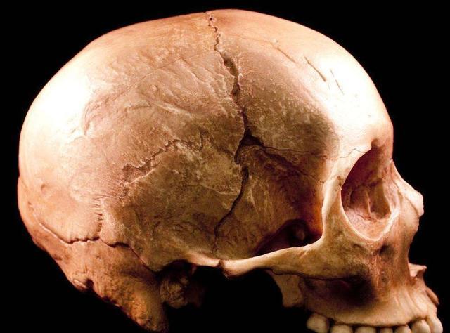 5200年前，没有麻药，华夏祖先如何进行神秘的开颅手术？难以想象