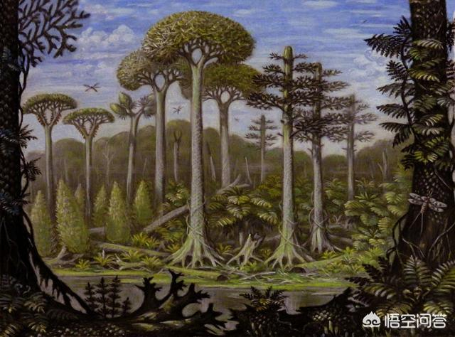 为什么石炭纪会存在近3M的巨型蜈蚣？...