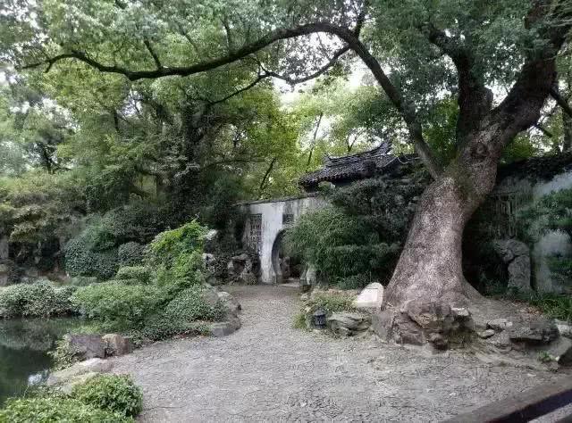 细品江南古典私家花园（2）寄畅园！
