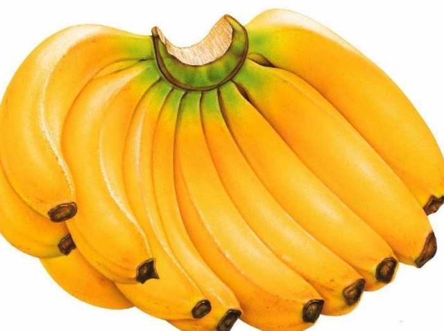 越南超级香蕉树，挂满3000个香蕉，土豪出百万求购遭主人拒绝！