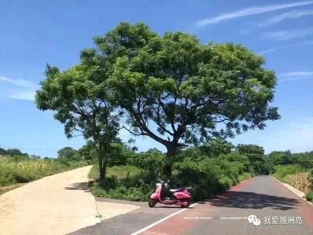 入围“中国最美十大海岛”涠洲岛 | 官方旅行攻略