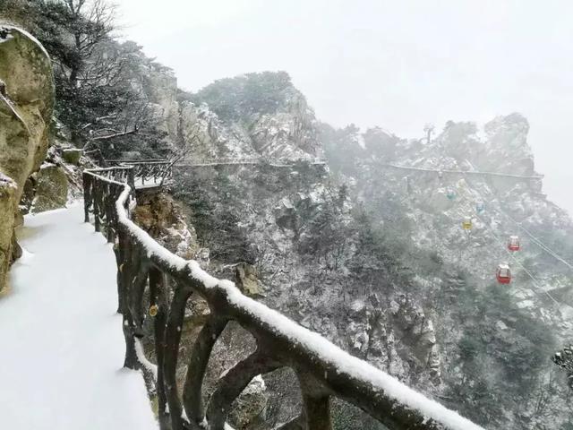你好！临沂今冬第一场雪！来看临沂各地雪景了！