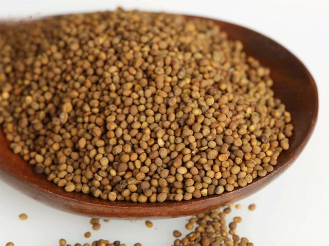 [转载]【原创】读诗人xlwushi《菟丝子》有感