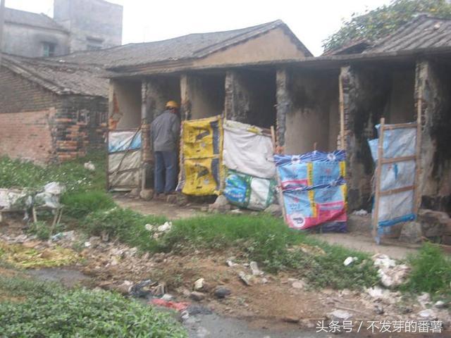 一组农村旱厕的照片，比印度还脏还臭
