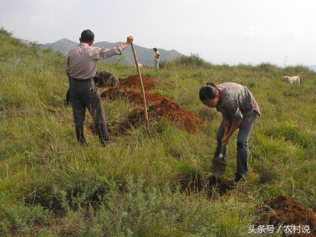 农村坟墓望坟断顺口溜三则，一看便知自家后代事