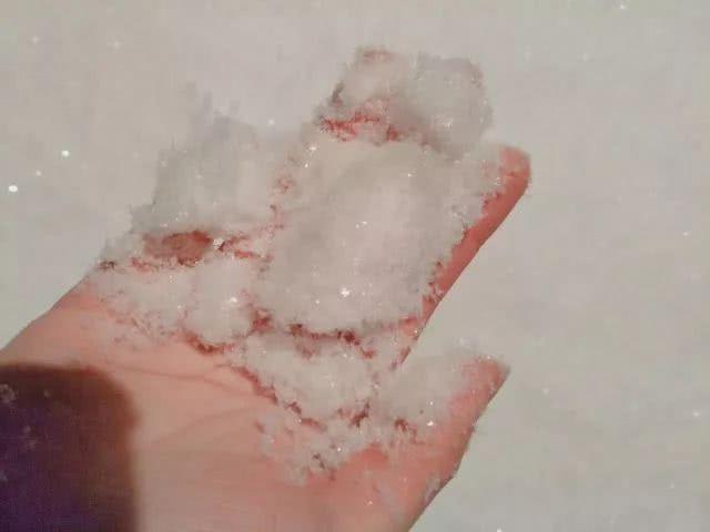 那些年青岛下过的大雪，青岛人的独家雪天记忆