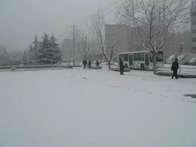 那些年青岛下过的大雪，青岛人的独家雪天记忆