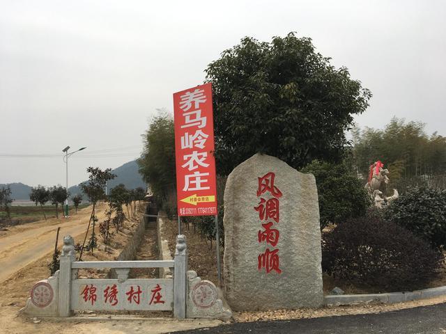 《欢乐过春节》游最美乡村——抗金英雄岳飞后代故里养马村