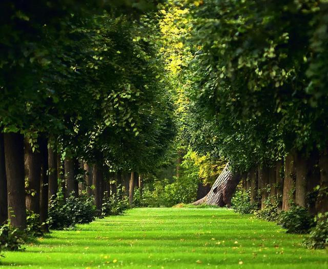 绿色地球垃圾分类 如何获取绿色地球积分