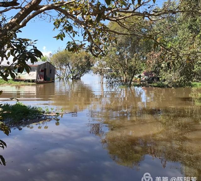 探秘亚马逊热带雨林