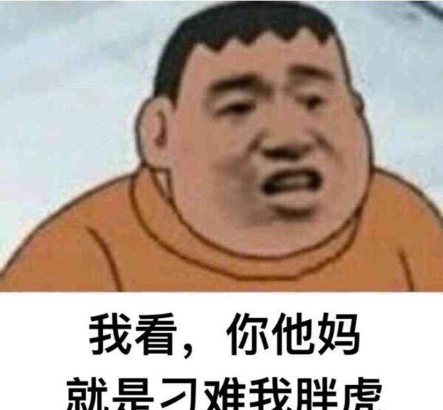 你的意思就是说要和我胖虎对着干咯？（胖虎表情包分享）