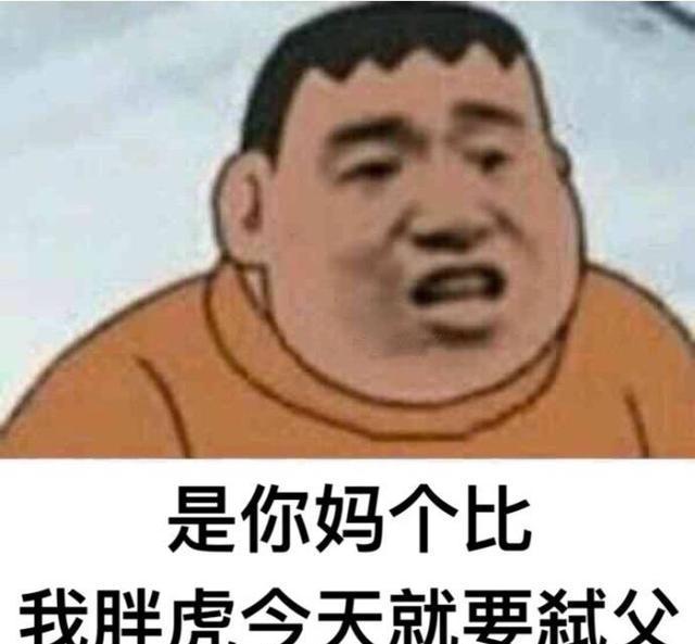你的意思就是说要和我胖虎对着干咯？（胖虎表情包分享）