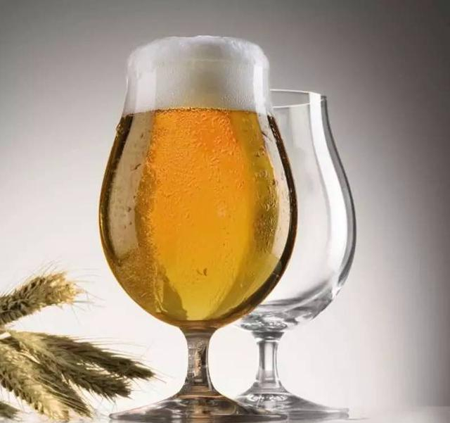 像行家一样品精酿！｜Beer Tasting