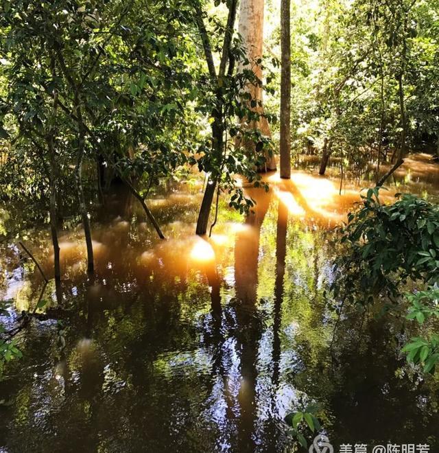 探秘亚马逊热带雨林