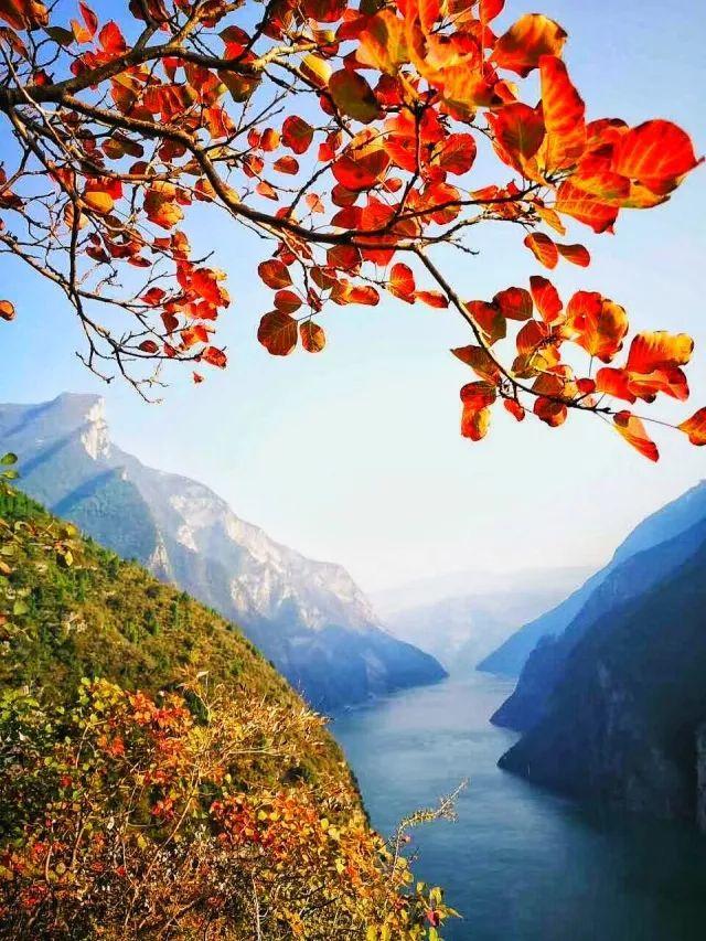 徒步危石鸟道，登临三峡之巅，奉节县打造中国最美步道