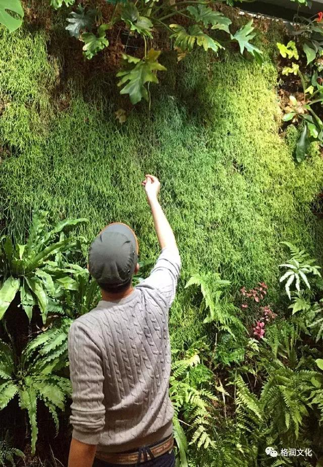 密室逃脱之光子篇!漆黑密室内开灯后关闭的光去哪了?...