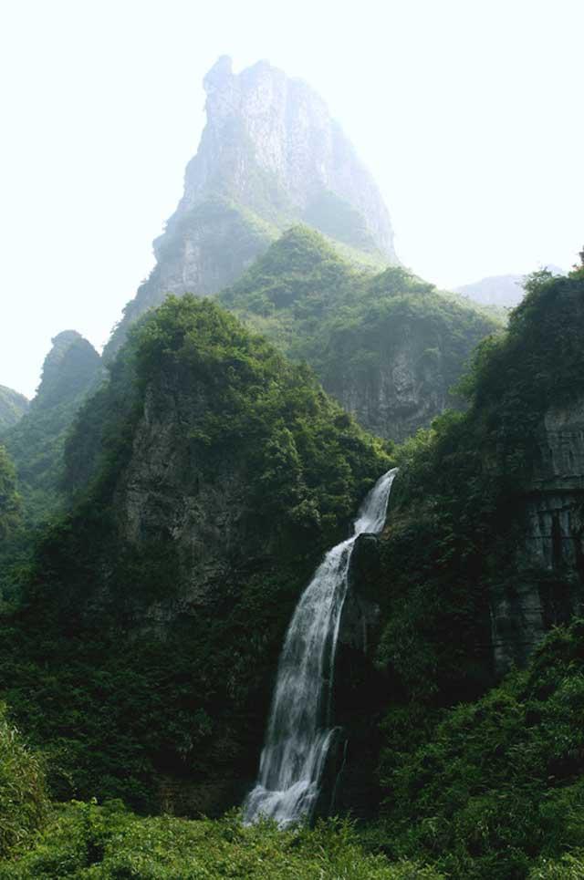 湘西吕洞山，出产中国最贵茶的地方