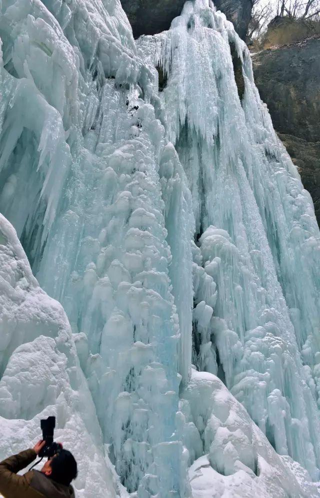 雪乡又爆出宰客事件，旅行圈一片哗然！