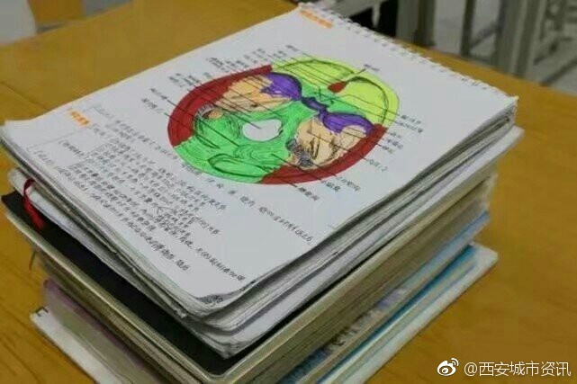 西安培华大二女生课堂笔记走红，被医学“耽误的画家”