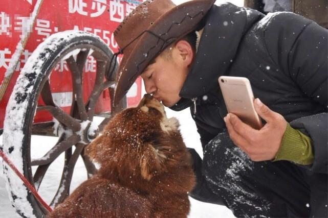 东北小伙徒步进藏途径义马310国道遇雪，小城义马暖心好客获赞！