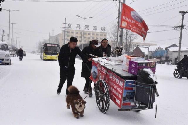 东北小伙徒步进藏途径义马310国道遇雪，小城义马暖心好客获赞！