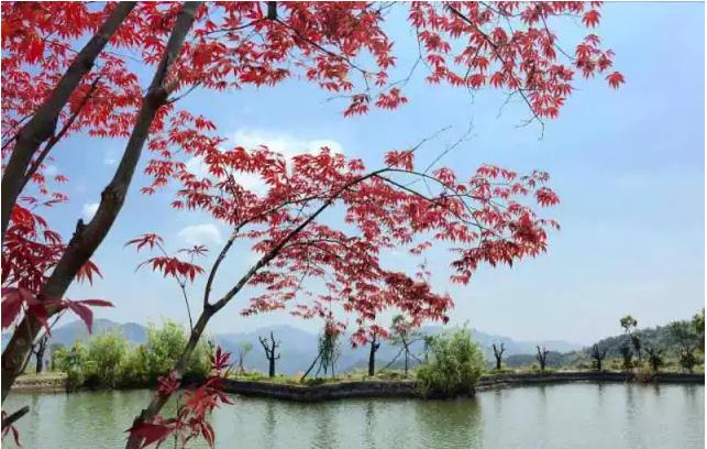 浙江东阳天山村——一个飘浮于云端的天然氧吧和古村落