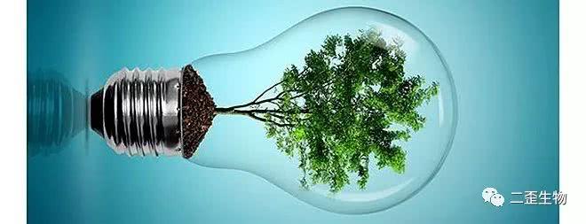 2018生物科学专业就业方向与就业前景分析