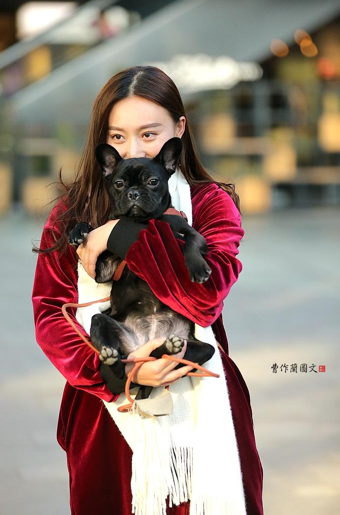 街拍：今年是狗年，时尚地标上演美女与爱犬