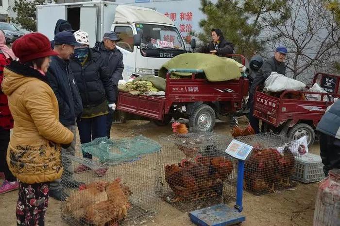 图说威海：冬日里的荣成大集