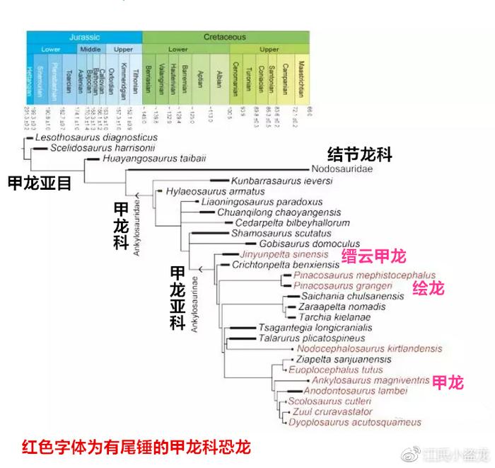 浙江发现最古老的长有尾锤的甲龙