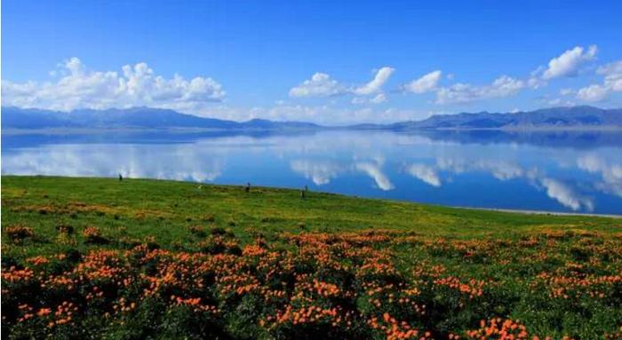 新疆的春天叫伊犁！花海、草原、原野组成了一幅人间最美的画卷