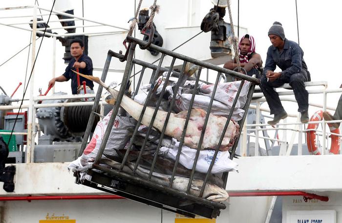 缅甸劳工的悲惨生活，生活环境堪称“海上集中营”