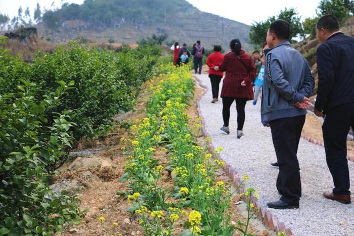 春节游粤北：阳山—生态农场 节日里浓情暖色