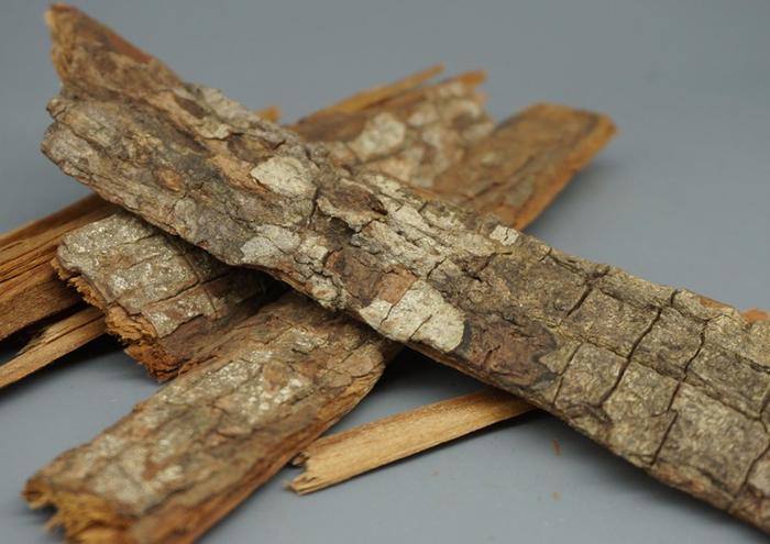 非洲安哥拉卡宾达树皮的吃法及用量禁忌