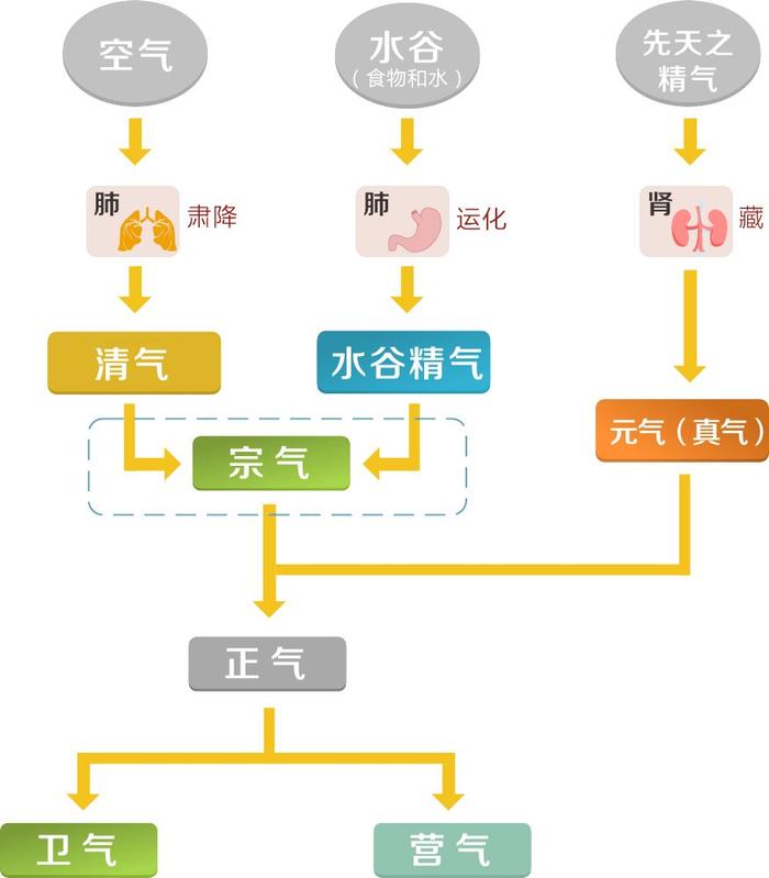 补阳气是最好的健康方式！