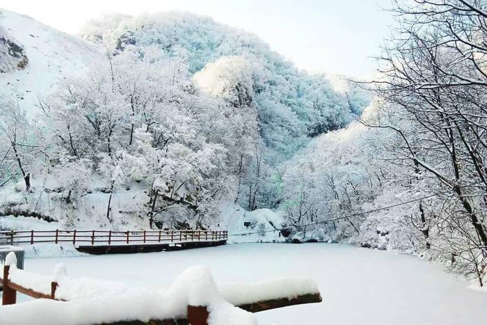 天龙池雪后初霁现雾凇奇观 银装素裹美若人间仙境