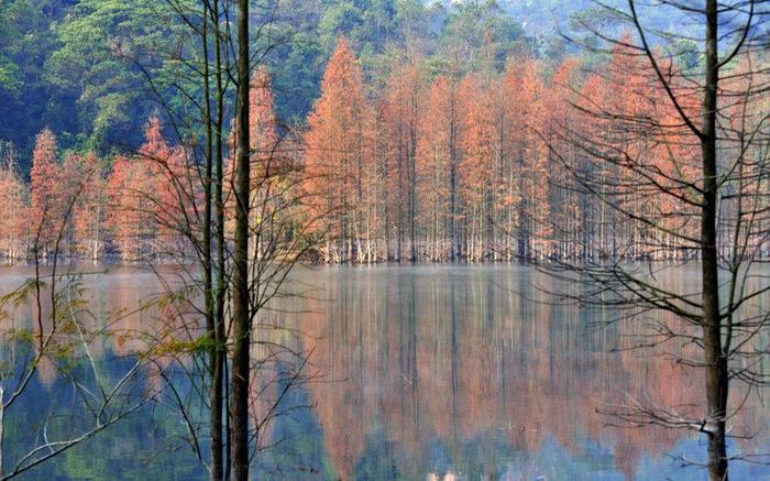 中山有座珠江口最高峰, 是中山市十景之一