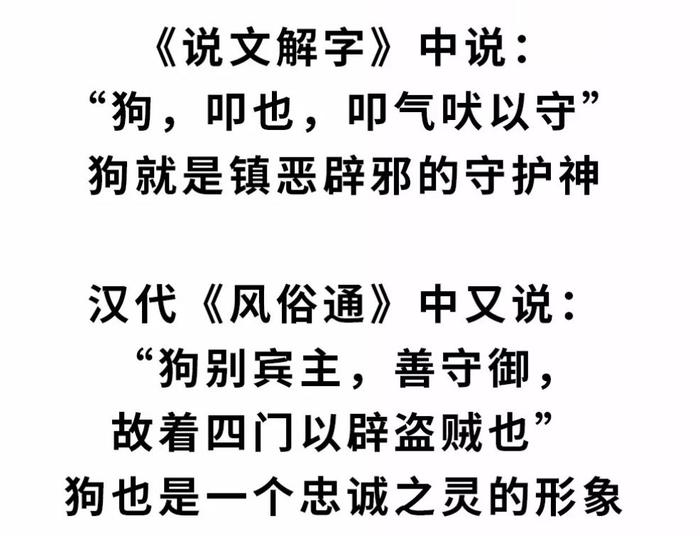 狗对人类那么好，为什么骂人却常带狗字？