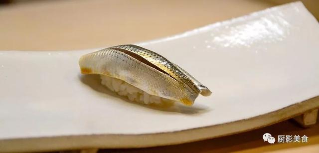 可怕的针鱼！时速60千米，嘴像针一样尖利，已经造成...