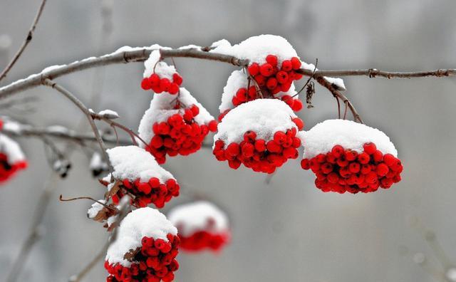 描写冬天的美妙诗句，领略古诗词之美